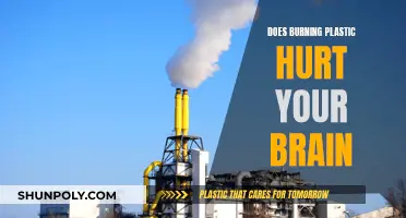 The Impact of Burning Plastic: Brain Health Risks