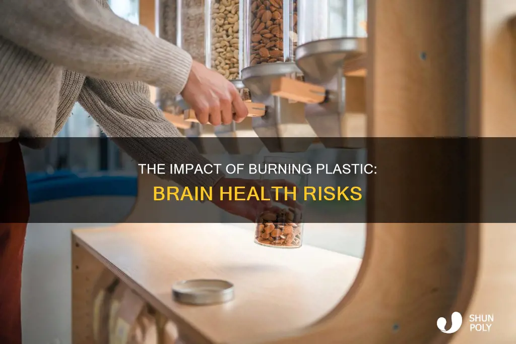 does burning plastic hurt your brain
