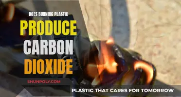 Burning Plastic: Carbon Dioxide and Other Toxic Emissions