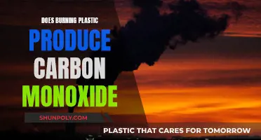 Burning Plastic: Carbon Monoxide Danger