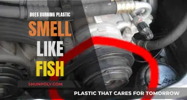 The Stench of Burning Plastic: Why Does it Smell Fishy?