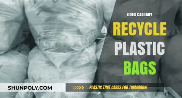 Calgary's Plastic Bag Recycling: What You Need to Know