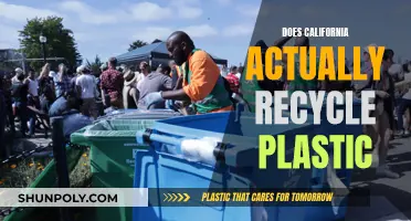 California's Recycling Reality: Unveiling the Plastic Truth