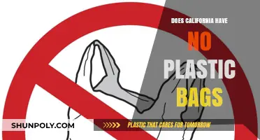 California's Plastic Bag Ban: Impact and Sustainable Alternatives Explained