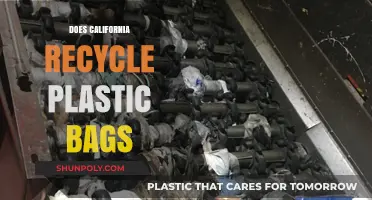 California's Plastic Bag Recycling: Myth or Reality?