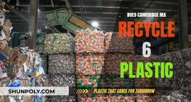 Cambridge, MA's Plastic Recycling Journey: Unveiling the 6-Bottle Mystery