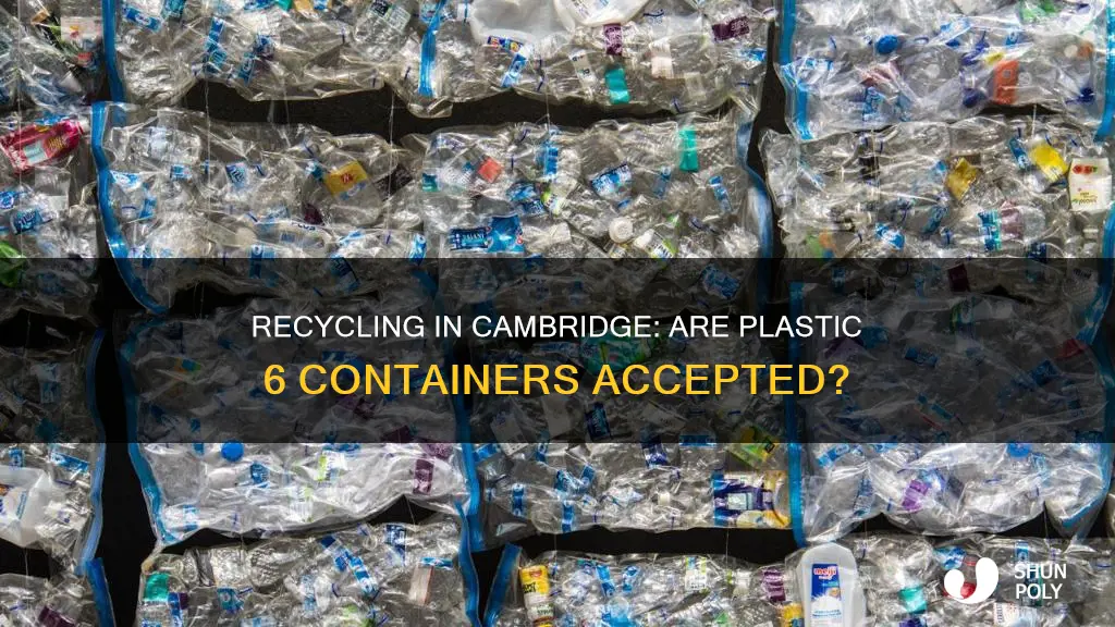 does cambridge ma recycle 6 plastic