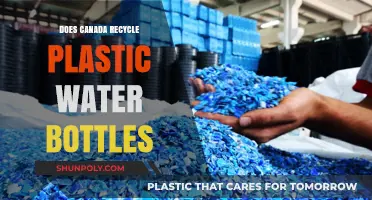 Canada's Plastic Water Bottle Recycling: Facts, Challenges, and Solutions