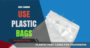 Canada's Plastic Bag Usage: Current Policies and Environmental Impact