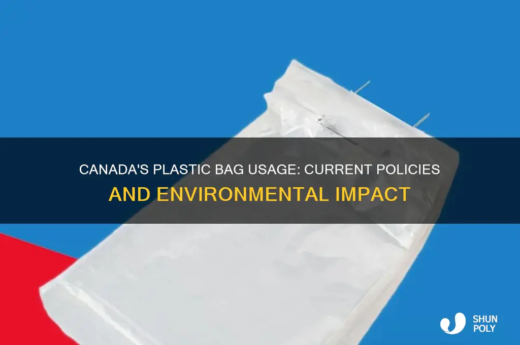 Canada's Plastic Bag Usage: Current Policies And Environmental Impact