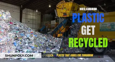 Canada's Plastic Recycling: Unraveling the Truth Behind the Process