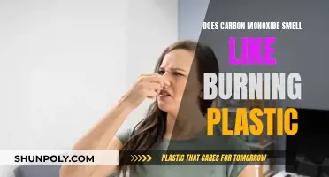 Carbon Monoxide: Burning Plastic or Something Else?