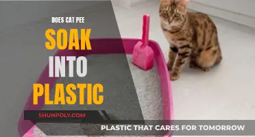 How Cat Pee Penetrates Plastic: A Surprising Truth