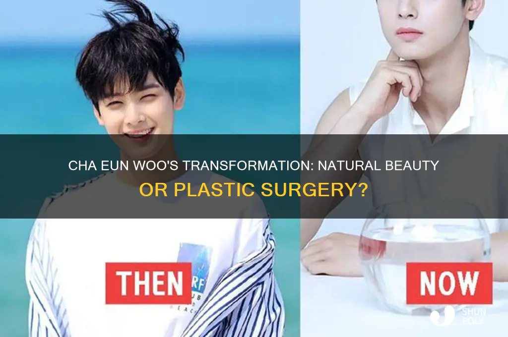 does cha eun woo have plastic surgery