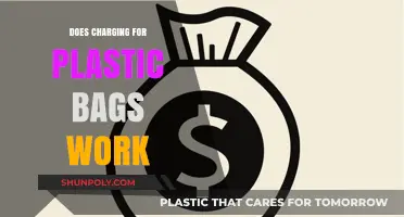 Charging for Plastic Bags: Effective Solution or Mere Tokenism?
