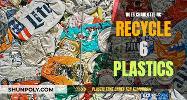 Charlotte's Plastic Recycling Journey: Unveiling the 6-Plastic Mystery