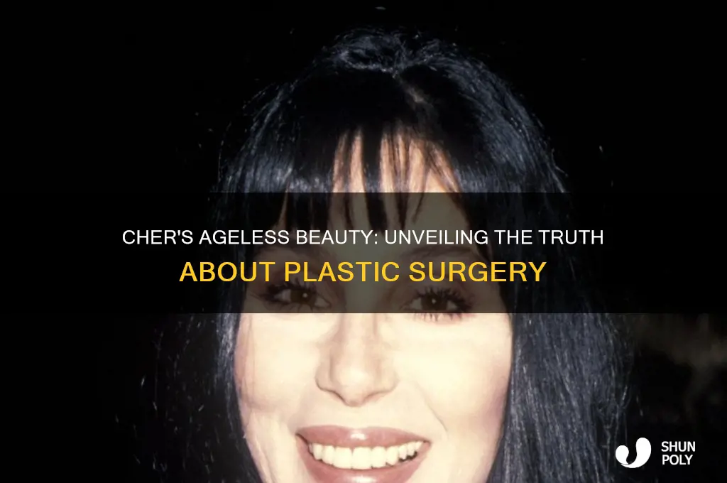 does cher get plastic surgery