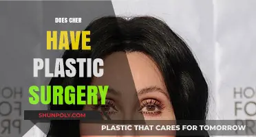 Cher's Transformation: Unveiling the Truth About Her Plastic Surgery
