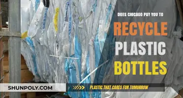 Chicago's Recycling Incentives: Earn Cash for Plastic Bottles?