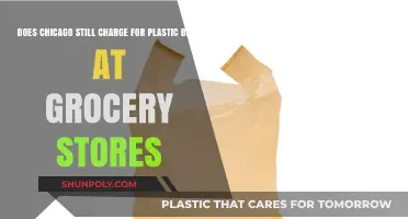 Chicago's Plastic Bag Fee: Still in Effect at Grocery Stores?