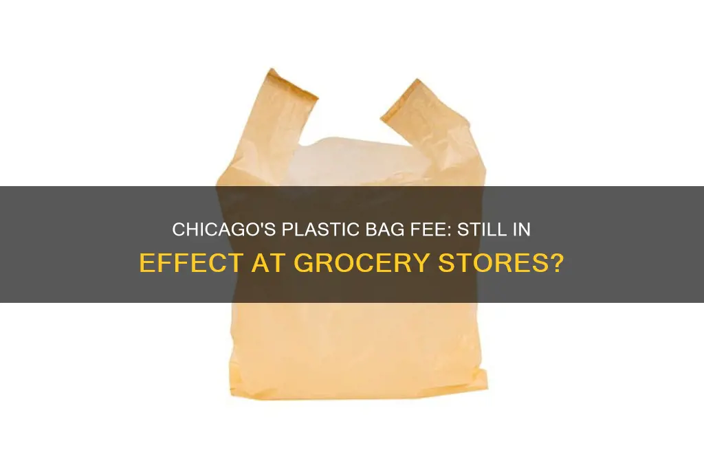Chicago's Plastic Bag Fee: Still In Effect At Grocery Stores? | ShunPoly