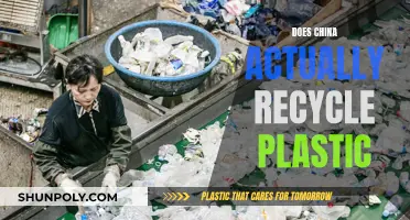 China's Plastic Recycling Reality: Unveiling the Truth