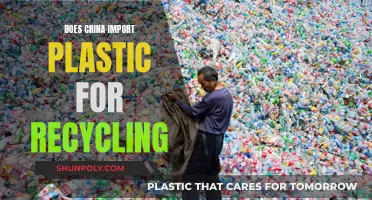 China's Plastic Recycling Trade: A Global Perspective