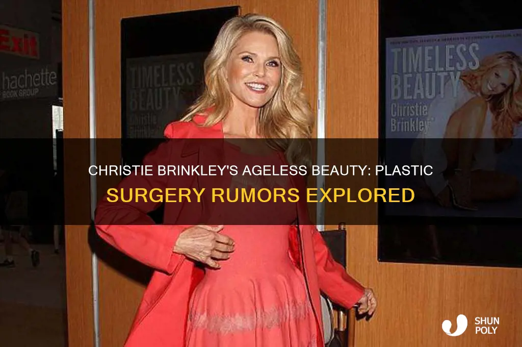 does christie brinkley get plastic surgery