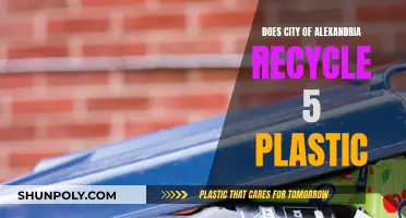 Recycling in Alexandria: Are Plastic Containers Accepted?