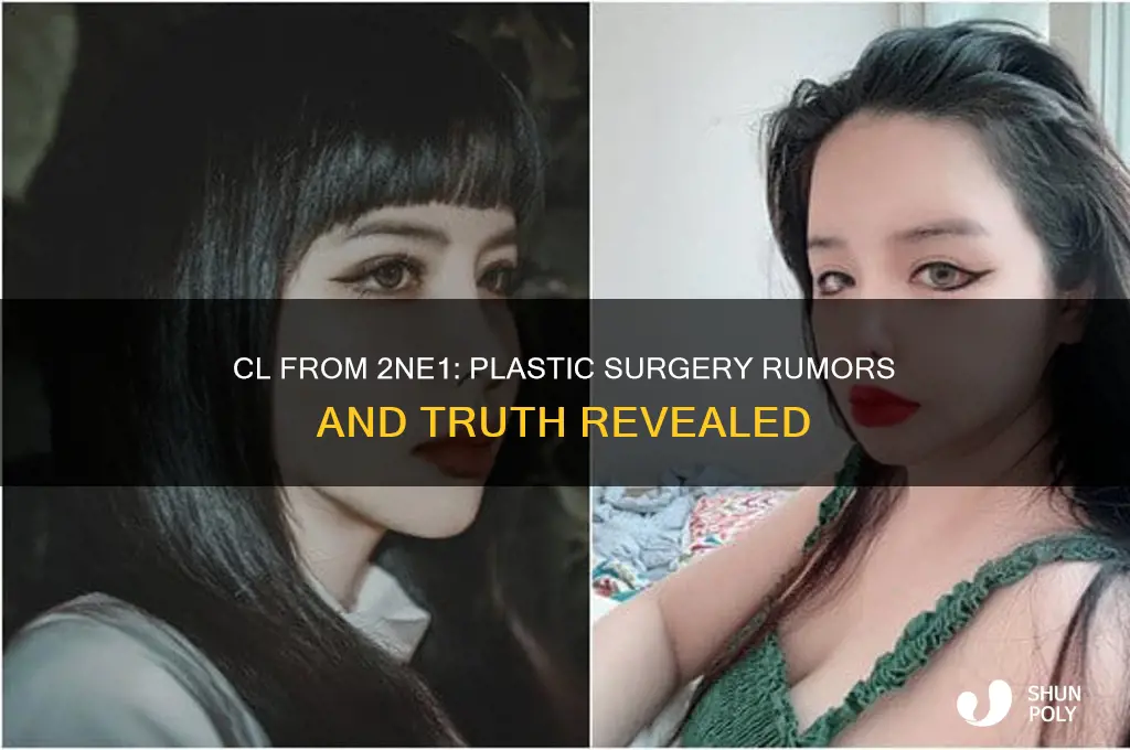 does cl 2ne1 have plastic surgery