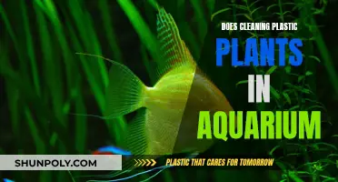 Cleaning Plastic Aquarium Plants: A How-To Guide