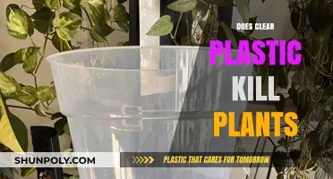 Clear Plastic and Plant Health: Uncovering the Truth Behind the Myth