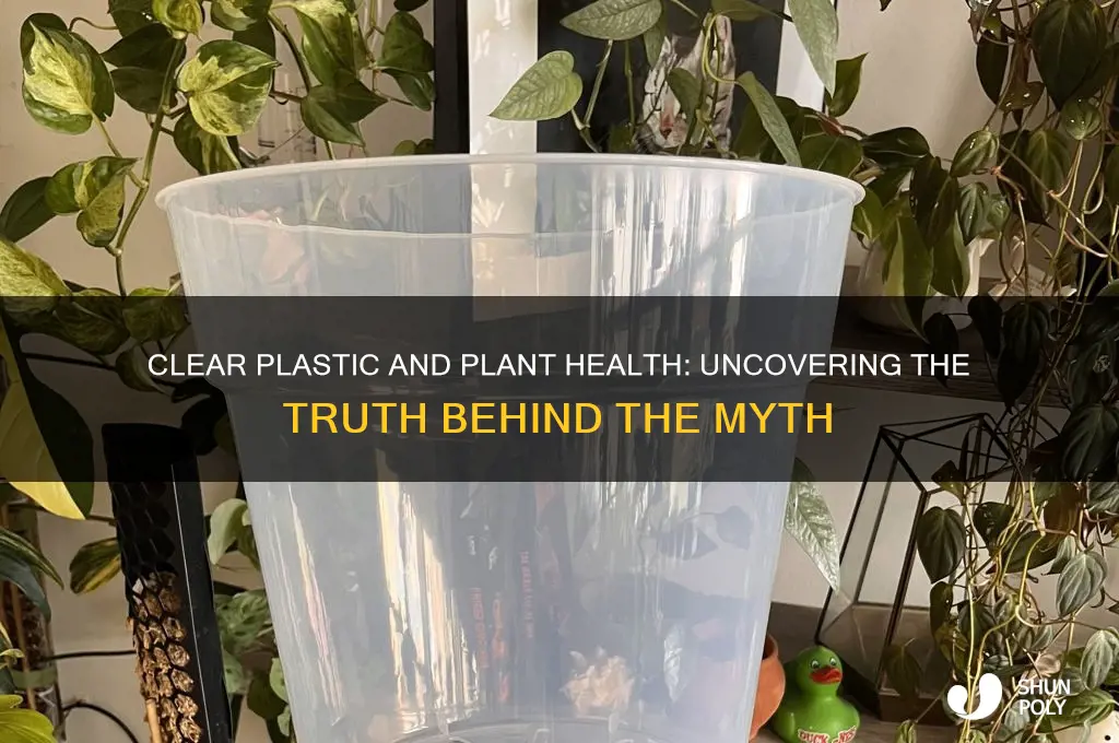 does clear plastic kill plants