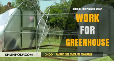 Clear Plastic Wrap for Greenhouses: Effective Solution or Temporary Fix?
