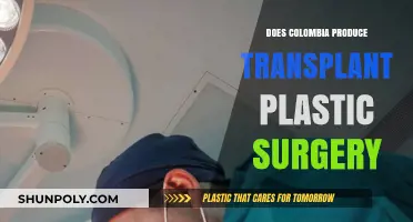 Colombia's Role in Producing Transplant Plastic Surgery: Fact or Fiction?