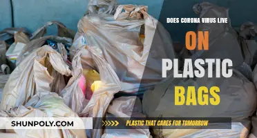 Does Coronavirus Survive on Plastic Bags? Facts and Safety Tips