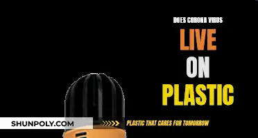 How Long Does COVID-19 Survive on Plastic?