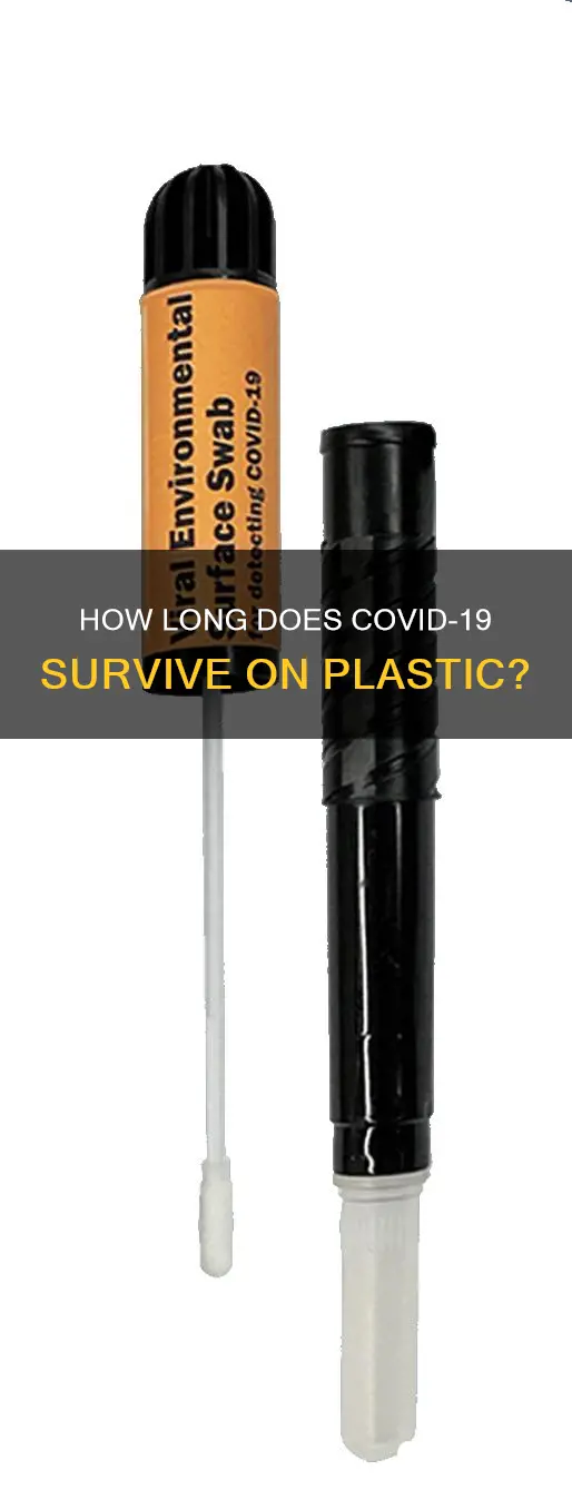 does corona virus live on plastic
