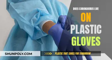 Plastic Gloves: Coronavirus Incubation and Survival Explored
