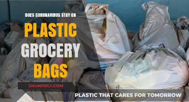 Coronavirus on Plastic Grocery Bags: How Long Does It Last?