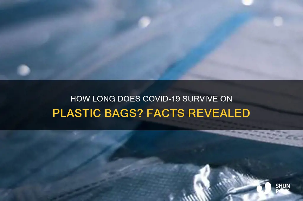 does covid 19 live on plastic bags