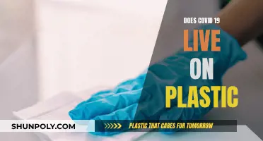 Plastic and COVID-19: How Long Does It Survive?