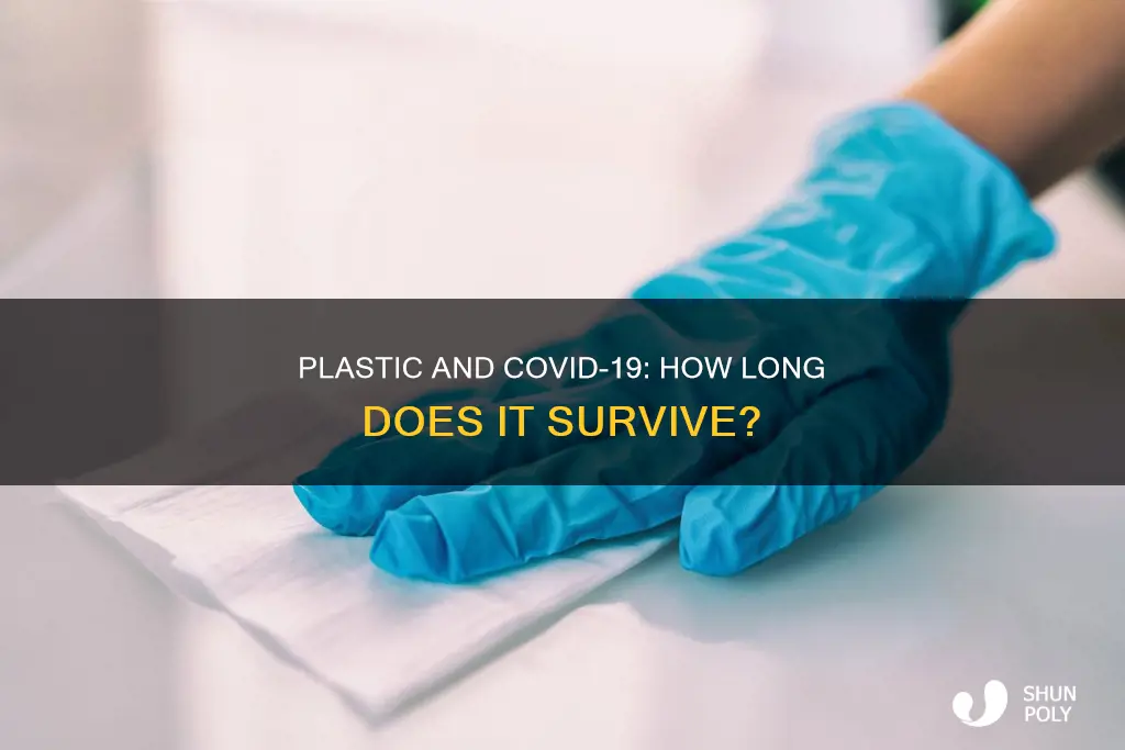 does covid 19 live on plastic