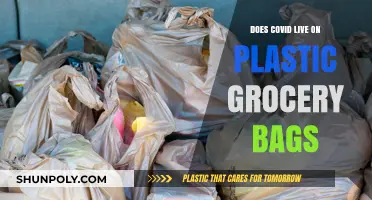 Can COVID-19 Survive on Plastic Grocery Bags? Facts and Safety Tips