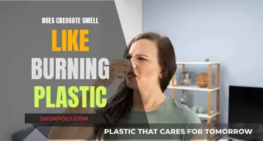 Creosote's Burning Plastic Smell: What's the Link?