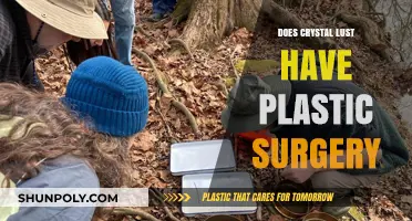Crystal Lust's Transformation: Plastic Surgery Rumors and Speculations