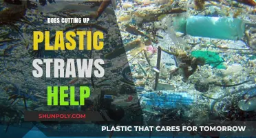 Does Cutting Up Plastic Straws Really Help the Environment?