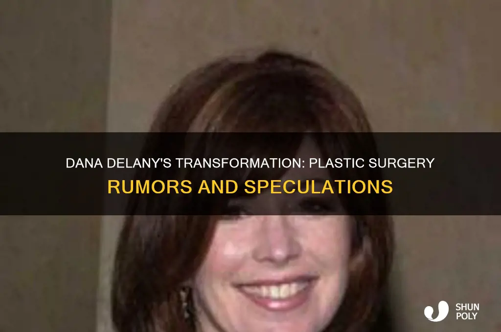 does dana delany have plastic surgery