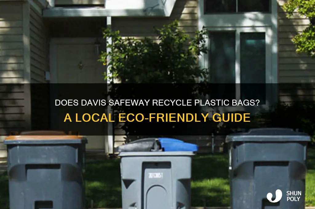 does davis safeway recycle plastic bags