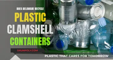 Delaware's Plastic Recycling: Clamshell Containers' Fate Revealed